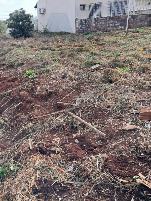 Terreno - Menino Deus