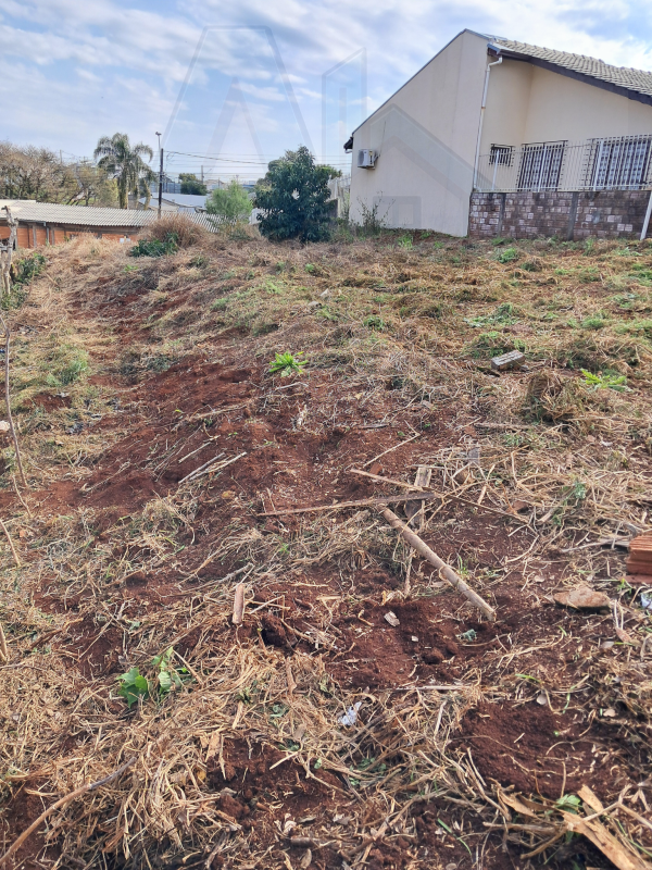 Terreno - Menino Deus