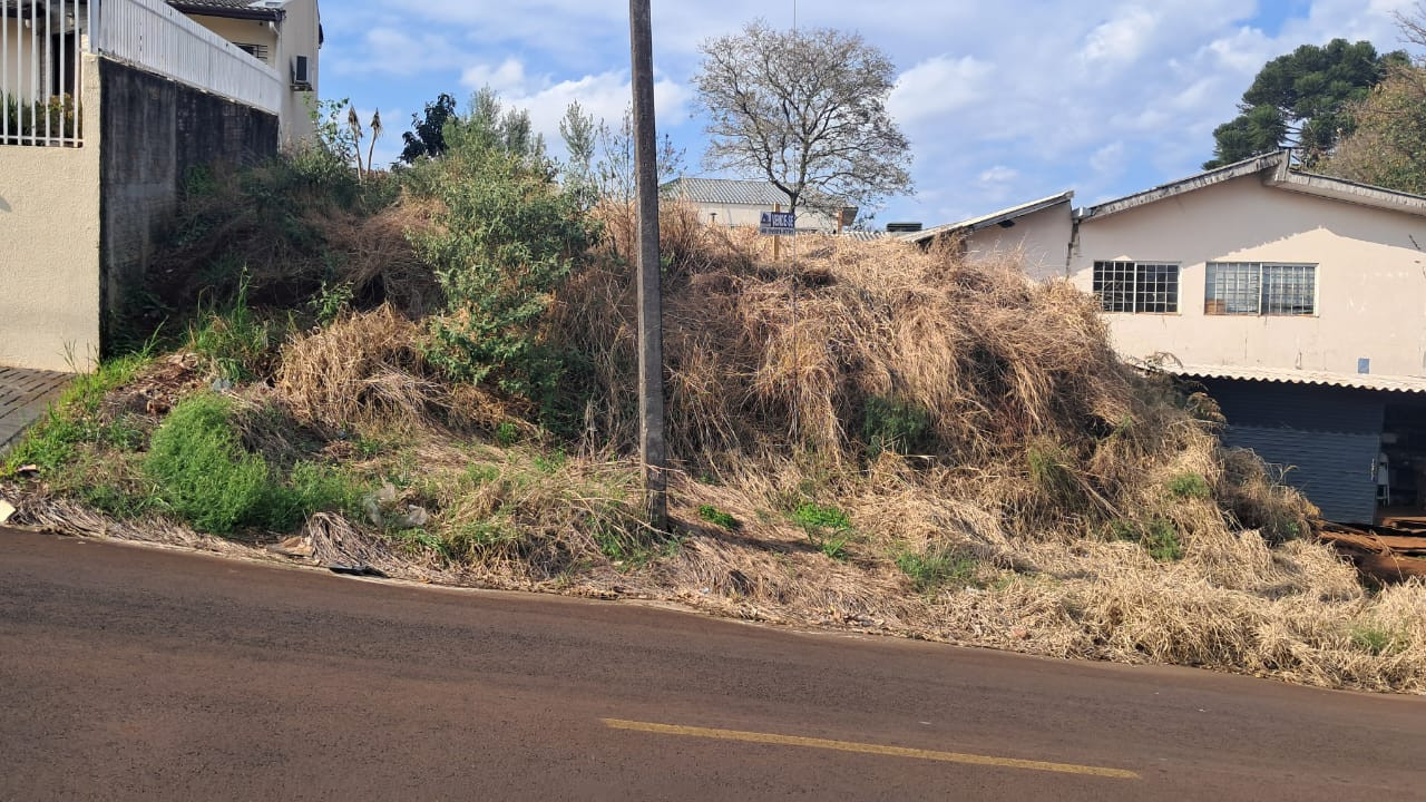 Terreno - Menino Deus