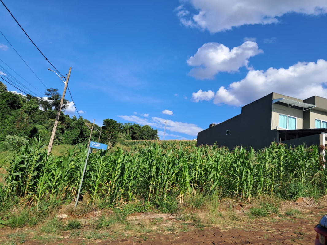 TERRENO DE ESQUINA - FRARON